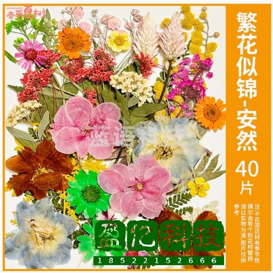 开学季手工DIY材料书签真干花押压花植物花卉幼儿园标本摆件装饰  【繁花似锦-安然】干花包40片