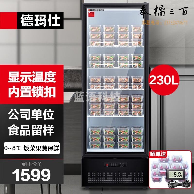德玛仕 DEMASHI 食品留样柜 学校幼儿园公司留样柜食堂用水果蔬菜冰箱保鲜冷藏冰柜展示柜 LG-300ZH1 厨房家电配件