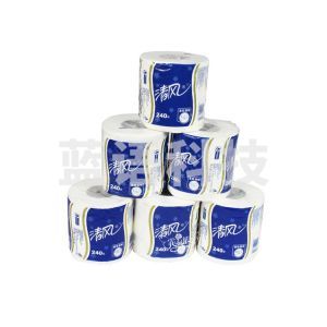 清风有芯卷筒纸3层240段*10卷纸巾原木浆酒店宾馆用卫生纸B22AT3BN