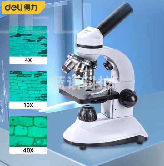 得力（deli）DL561001 儿童生物显微镜800倍 高清小学生科学实验室放大镜