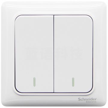 施耐德电气(Schneider Electric)开关插座 开关面板 双开双控开关 睿意系列 白色A3E32_2A