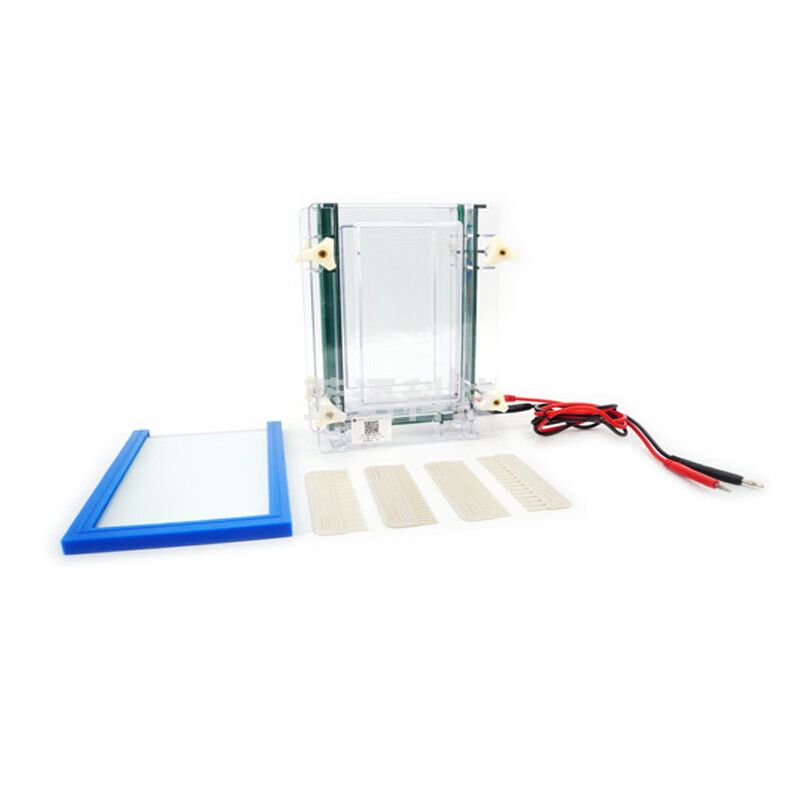 JISENPUER北京六一DYCZ-28B单板夹芯式垂直电泳仪(大号) DYCZ-28B