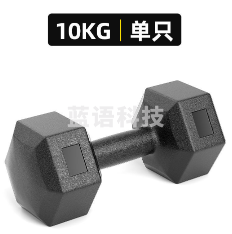 哑铃 六角哑铃 10公斤六角哑铃  2个/组M&C23599