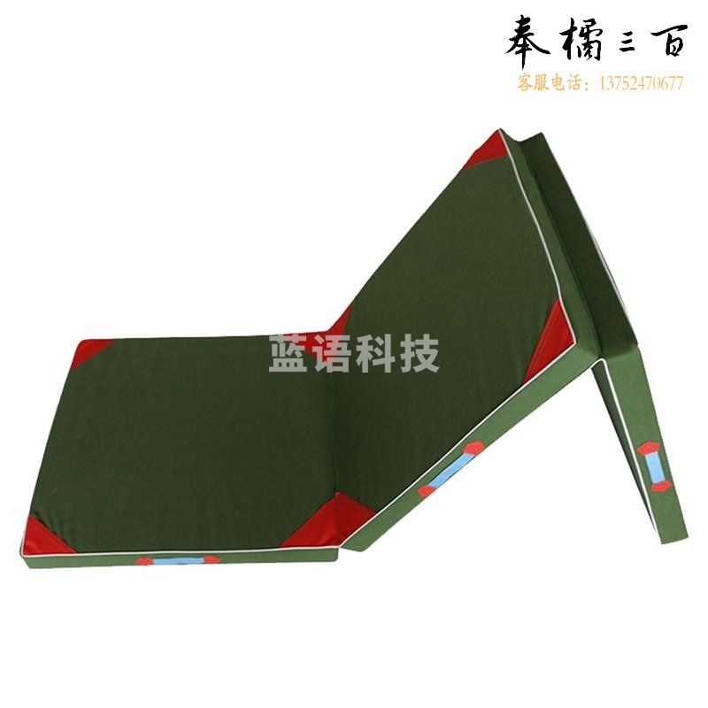 信必睿 折叠体操垫三折训练保护垫仰卧起坐垫子舞蹈练功可折叠体育训练保护垫 三折体操垫200*120*10cm