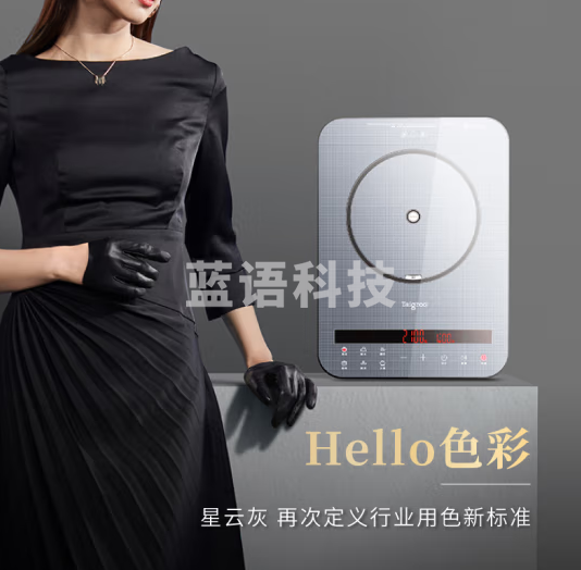 钛古(Taigroo)钛古电磁炉 按键变频连续小火低音超薄电磁灶 星云灰