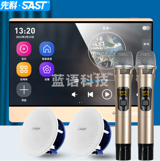 先科X8智能喇叭 语音触屏 无线话筒 X8控制器+低音同轴喇叭*2