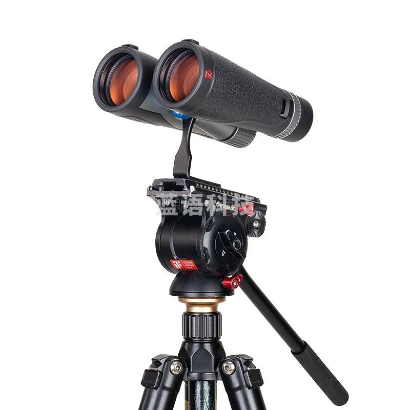 博冠（BOSMA）蜂影12X50ED双筒望远镜高倍高清消色差像质瑞丽大目镜大视野镀相位膜找蜂观景观星看演唱会