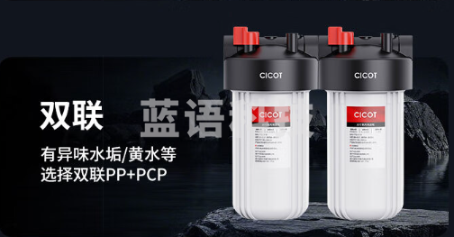 大白瓶双联10寸