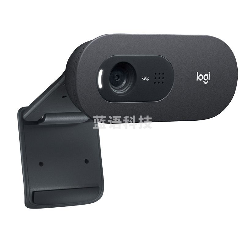 罗技 C505e  高清网络  摄像头 输入输出设备