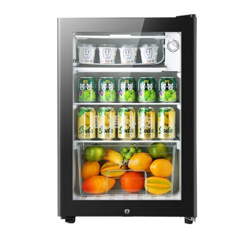 先科 BC-90L 先科/SAST 先科 BC-90L 立式冰柜 留样专用电冰箱 全冷藏保鲜+LED灯+带锁