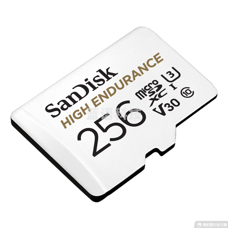 闪迪（SanDisk）256GB SDSQQNR-256G-ZN6IA TF（MicroSD）存储卡 行车记录仪&安防监控专用内存卡 高度耐用 家庭监控