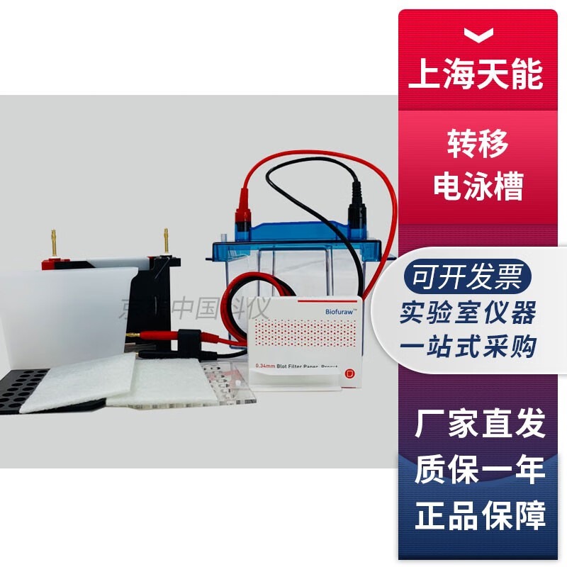 上海天能VE-186转移电泳槽实验室蛋白电泳槽