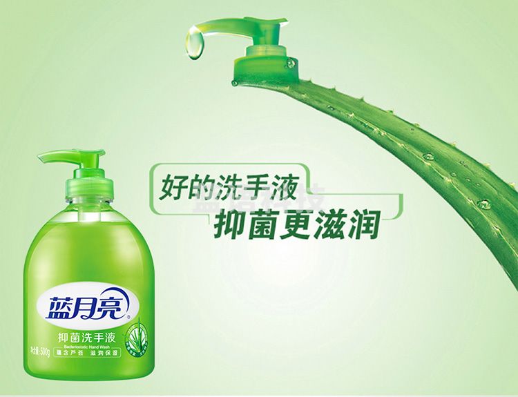 蓝月亮 洗手液500g  HCYT202302131005389