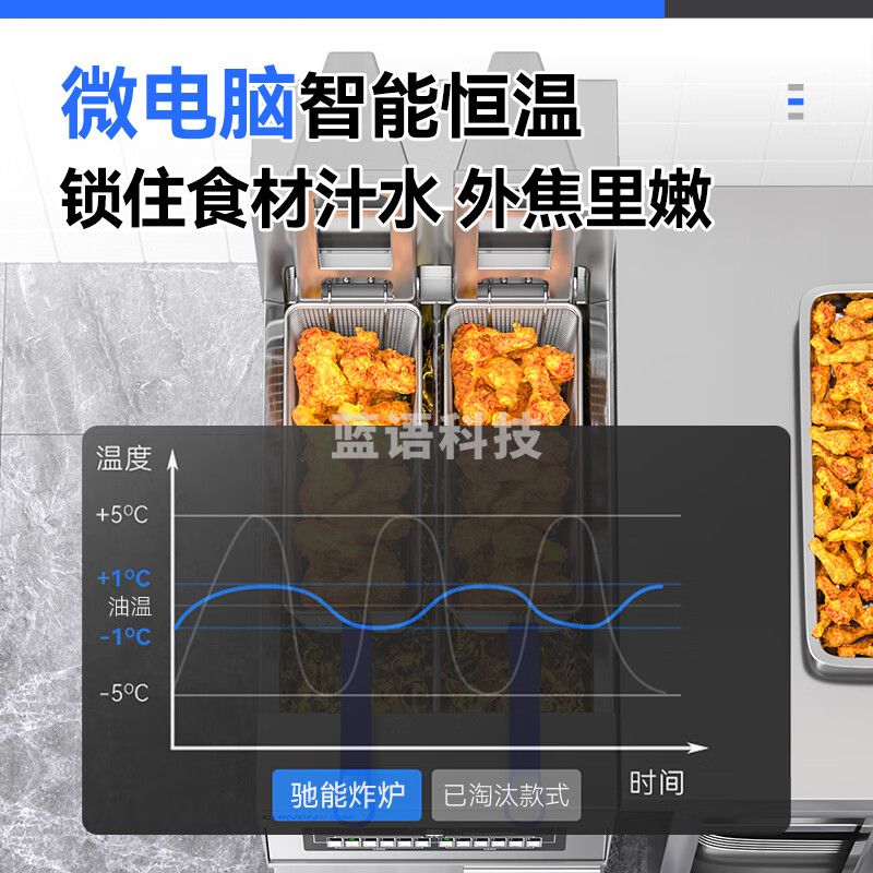 驰能（CHINENG）电油炸炉商用油炸锅大容量 单缸炸鸡炸薯条机炸串机机械腌制机 CN-YDE-IYZJ-25M-TST