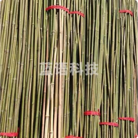 彩旗专业竹竿长1.5米 粗1.5cm （10根）