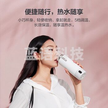 飞利浦（PHILIPS）烧水杯保温杯便携式烧水杯子旅行电加热水杯壶男女士实用生日礼物