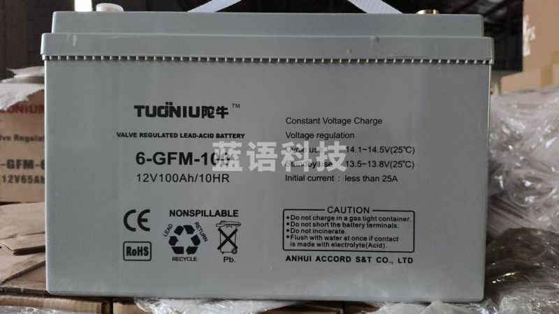 陀牛蓄电池 6-GFM-100 12V/100AH