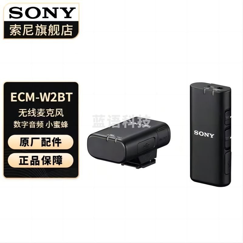 索尼 ECM-W2BT 索尼/Sony 麦克风话筒 Vlog拍摄数码相机外接视频录音 ECM-W2BT 无线麦克风(送64G卡)
