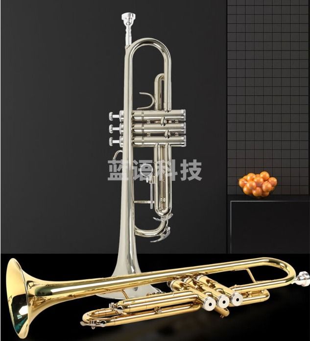 津宝 小号 JINBAO津宝J BT R300小号乐器降B调儿童初学学生演奏考级漆金西洋吹管乐器