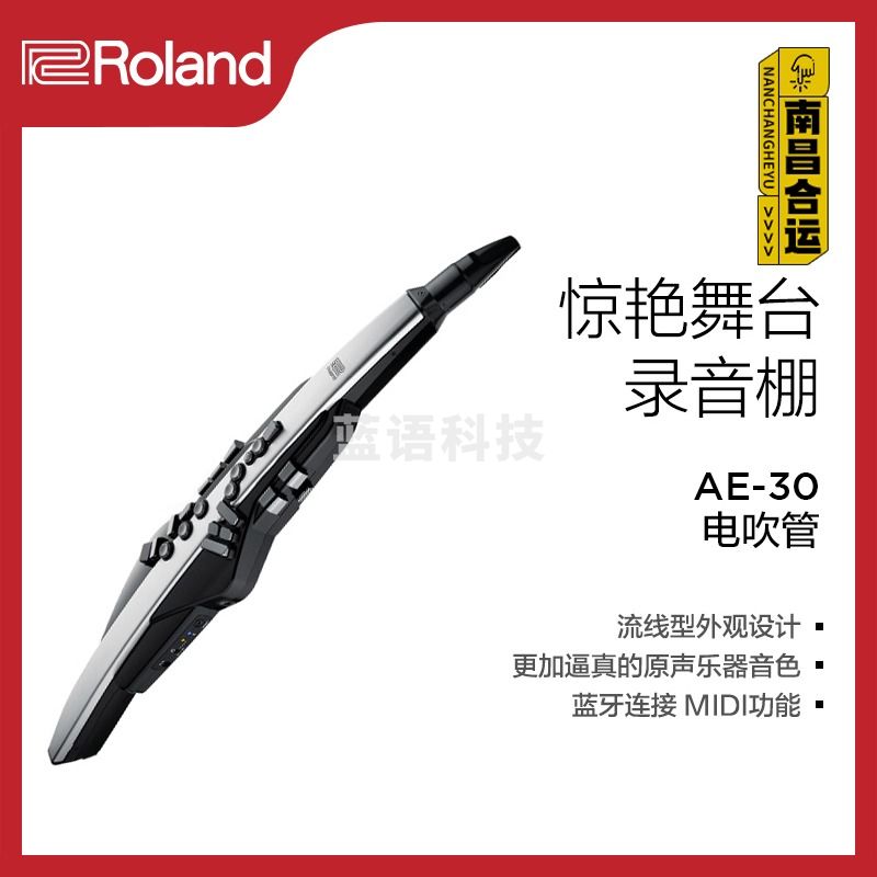 罗兰 RolandAE-30 Aerophone Pro电萨克斯电子吹管乐器带扬声器