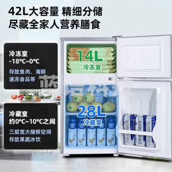 新飞（Frestec）小冰箱迷你小型双门家用宿舍出租房办公室冷藏冷冻电冰箱节能省电一级能效-42升金【省电轻音】