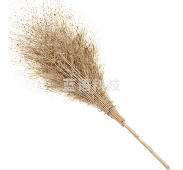清洁大扫把 大扫帚