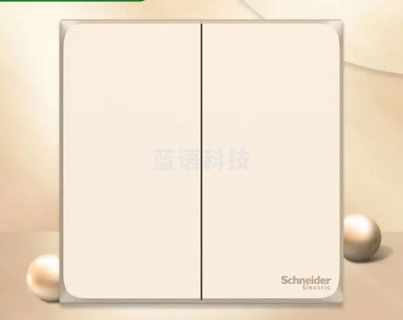 施耐德 双开双控 二开双控 86型开关面板 皓呈系列 (薄雾灰、珍珠金可选)