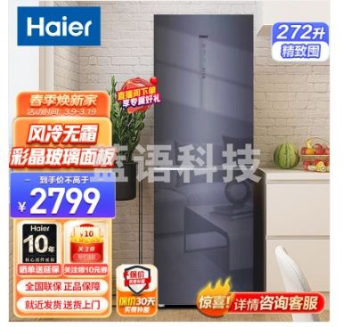 海尔（Haier）冰箱 272升智能双变频风冷无霜小型家用双门电冰箱 BCD-272WLHC2D0B1 （
