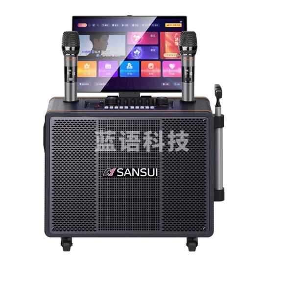 山水（SANSUI） PE105便携户外广场舞拉杆音响  17吋屏+PE105三分频+500G