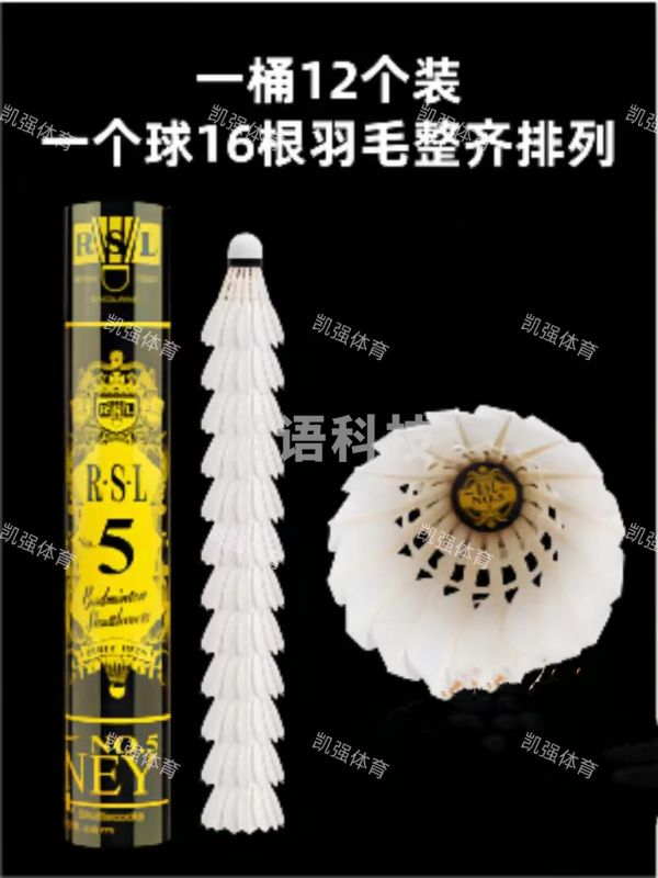 亚狮龙(RSL)训练比赛用球 稳定耐打 RSL5号 羽毛球