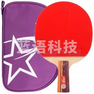 红双喜R2006直拍双面反胶乒乓球拍