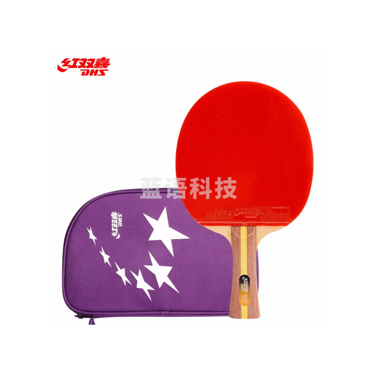 红双喜（DHS） 乒乓球拍二星级系列2星训练比赛用成品拍 横拍T2002双面反胶