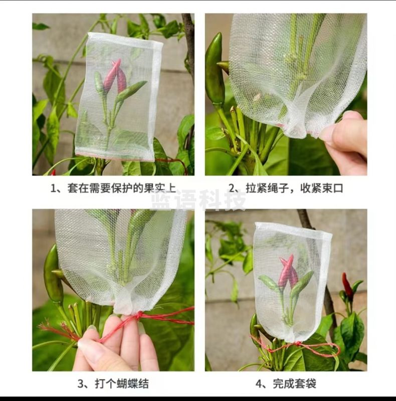 防虫袋瓜果防果蝇防鸟袋滤网浸种袋葡萄果树水果套袋尼龙防虫网袋  30*25cm （100个）尼龙材质