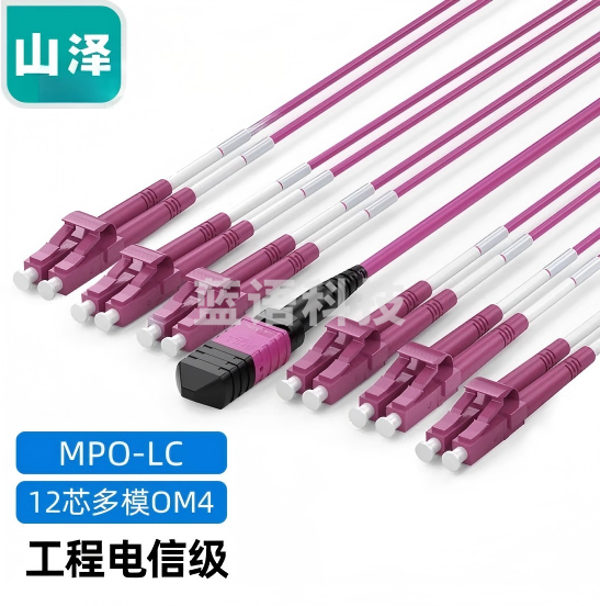 山泽(SAMZHE)光纤跳线 MPO-LC12芯 OM4万兆多模 40G光模块用集束光纤线 15米 G4-PL1215