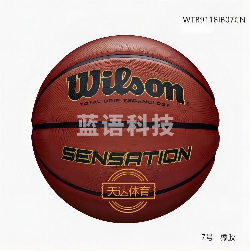 威尔逊/WERWILSON 篮球 7号  9118.