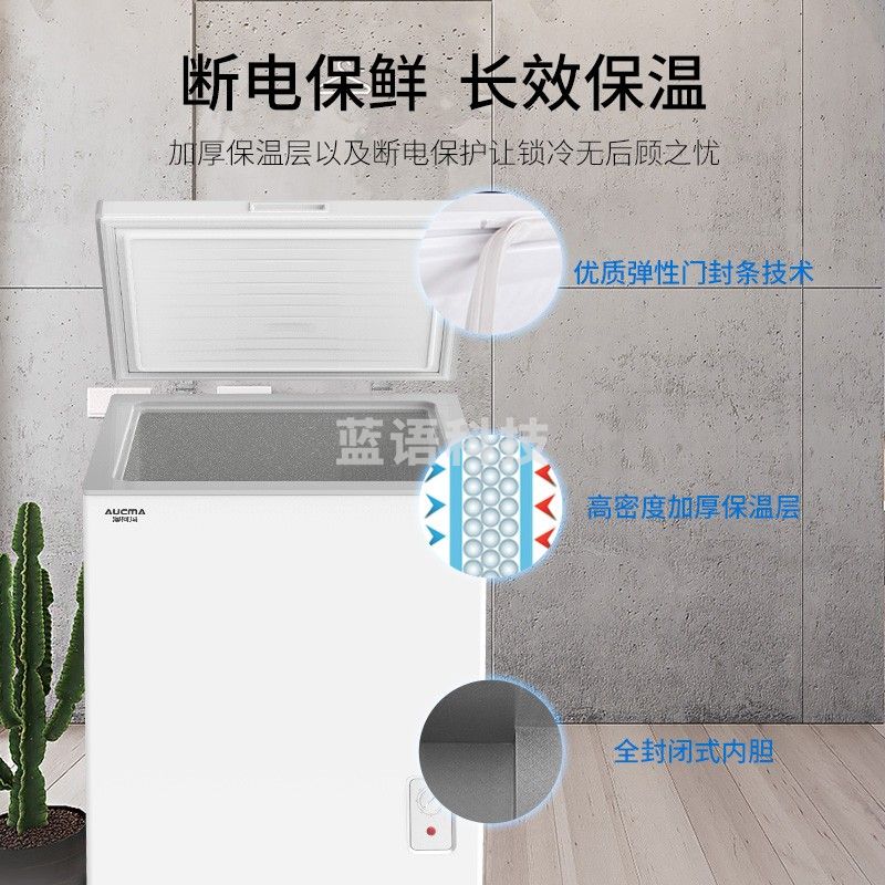 澳柯玛（AUCMA）143升家用冰柜 冷藏冷冻转换冰柜 全冷藏或全冷冻 小型迷你节能单温冷冻柜 BC/BD-143NE