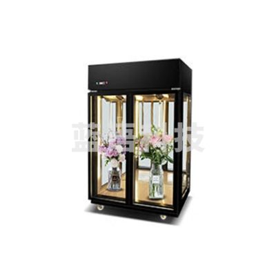 喜莱盛 XLS-XH12B 鲜花展示柜商用保鲜柜 花店市场鲜花植物陈列立式冷藏展示柜风冷