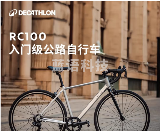 RC100升级版公路自行车Van Rysel男女骑行单车 Van Rysel 银色 XS码 适合身高155cm~165cm
