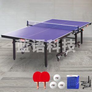 （下单前请电话联系）红双喜 DHS DXBC006-1(T1223) 乒乓球桌室内乒乓球台训练比赛用乒乓球案子 含网架-球拍-三星球