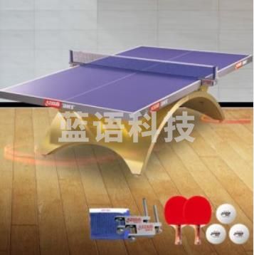 （下单前请电话联系）红双喜 DHS DXBG186-1 金彩虹乒乓球桌室内乒乓球台训练比赛用乒乓球案子