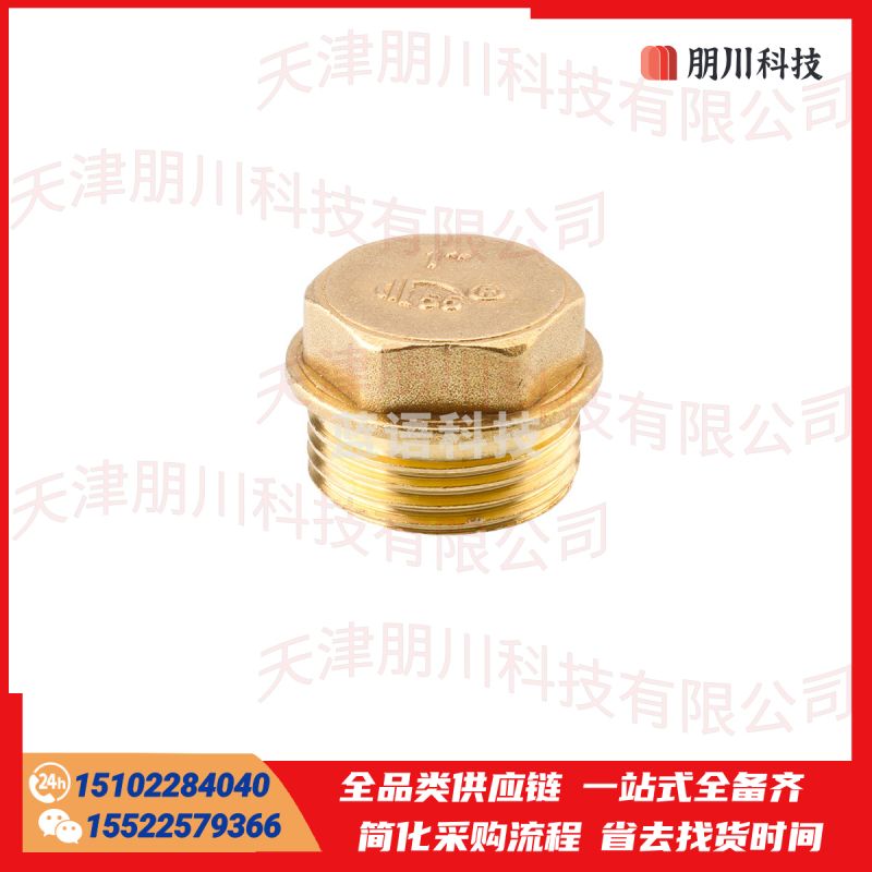全铜水管堵头丝堵管帽(10个起售)