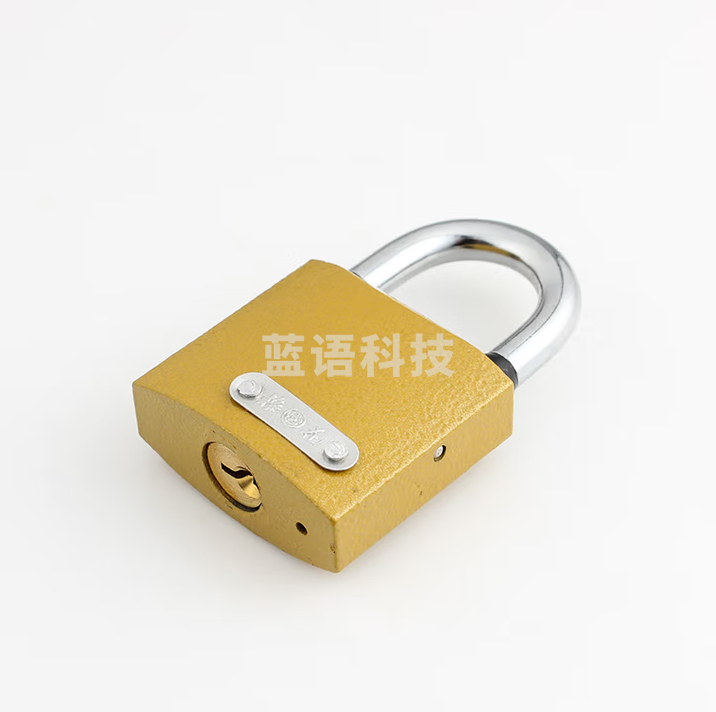 梅花（BLOSSOM）防水挂锁学校家用门锁柜门抽屉锁 32mm防盗窗锁BC1332 10把装