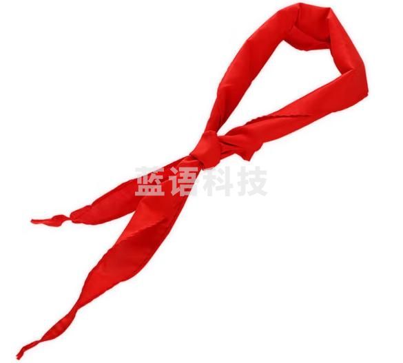 与同 少先队1米/1.2米小学生红领巾 少先队员标准款 红领巾1-6年级儿童学生用品 国旗绸 1m*60cm 20条