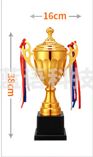 金属奖杯  36*16 cm