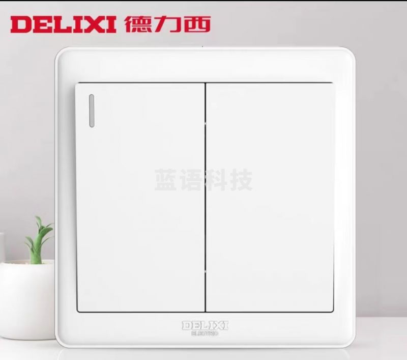 德力西二开单控 双开单控开关