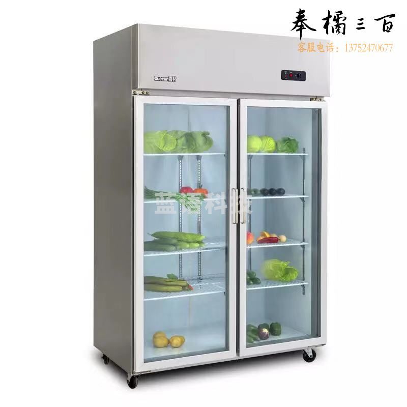 雪村 CFR-40B2T 800L双开门冰箱商用 冷藏展示柜 水果蔬菜保鲜冷柜