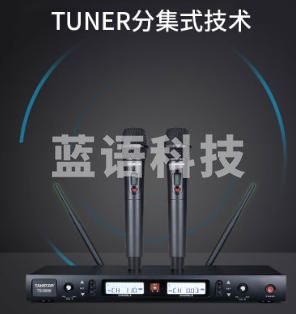 （下单前请咨询）得胜（TAKSTAR）TS-8999 U段无线话筒一拖二 无线麦克风专业演出会议手持家庭KTV唱歌卡拉ok