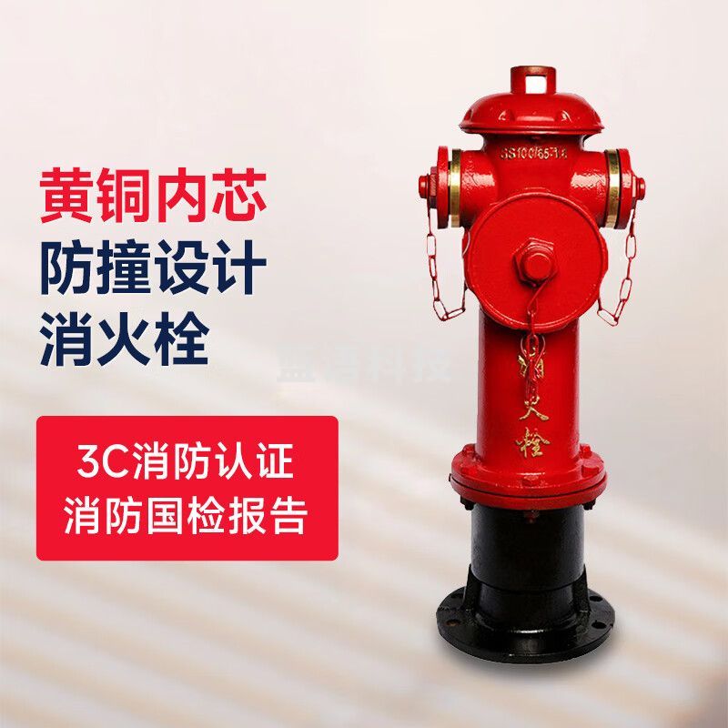 黄铜内芯SS100/65-1.6地上式消防栓 室外消火栓 进水口DN100*出水口DN65 不含弯头