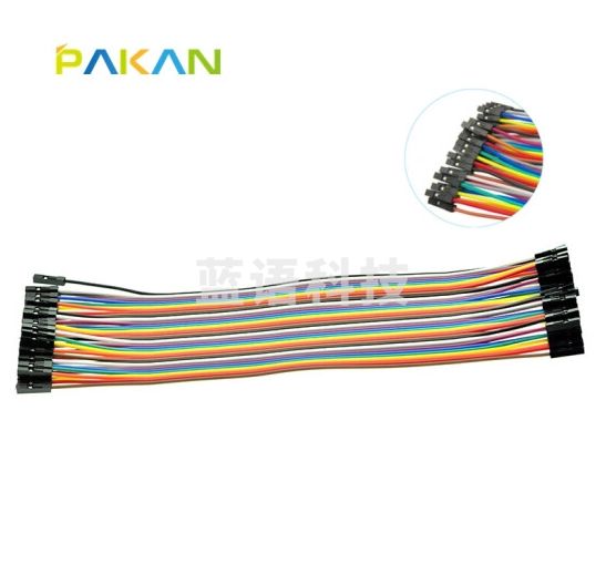 PAKAN 40P杜邦线 母对母 公对公 公对母  彩排线 模型线材 20CM 母对母 30个
