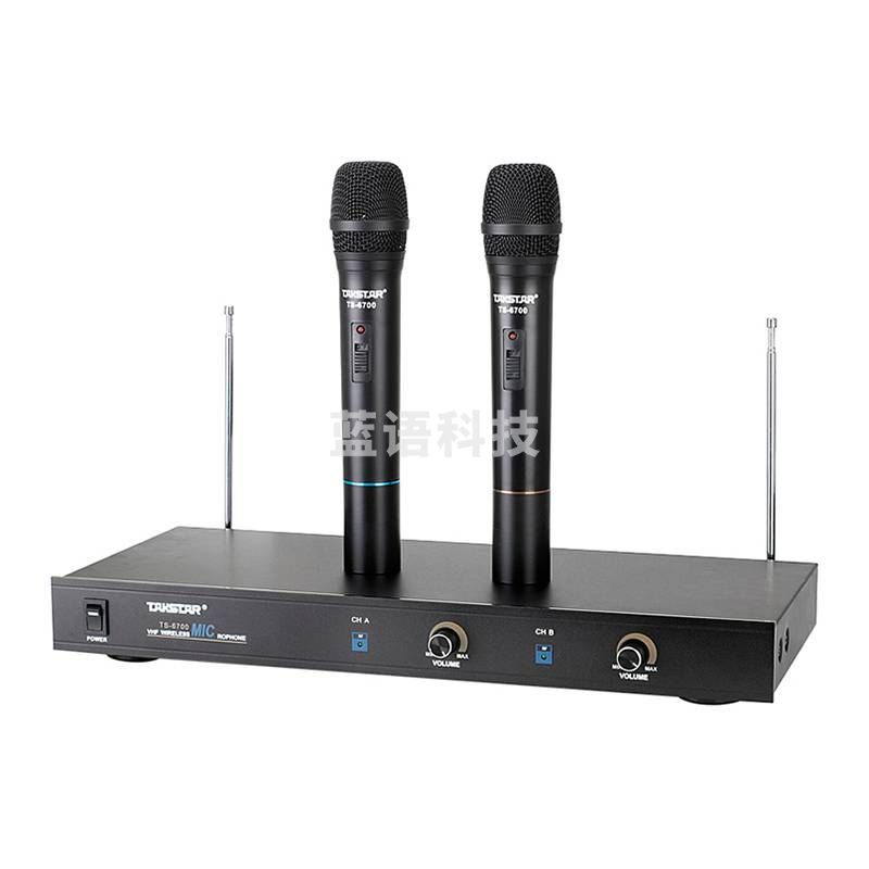 得胜(TAKSTAR) TS-6700HH一拖二无线麦克风 手持式会议主持无线话筒演出麦克风防啸叫 双手持